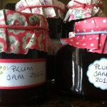 Dietitian UK: Plum Jam