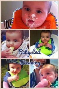 Baby led Weaning, let the adventure begin.