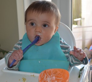 Baby led Weaning - 8 months