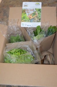 Dietitian UK: Goldhill Vegetable Box Review 1