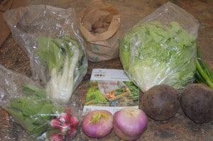 Dietitian UK: Goldhill Vegetable Box Review 3