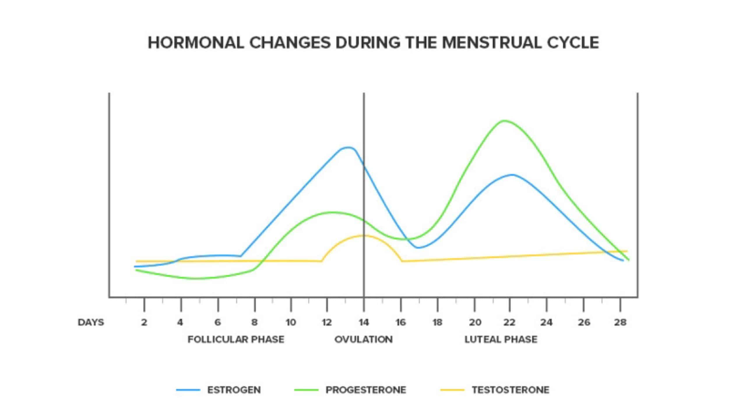 A diagram showing the hormonal changes that occur during the menstrual cycle